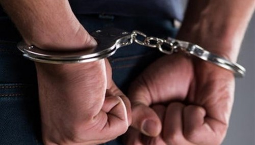 دستگیری باند سارقان حرفه ای احشام با ۱۹ فقره سرقت در زهک